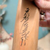 Aigle Usodori 鷽鳥 - photo 8