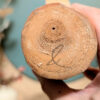 Aigle Usodori 鷽鳥 - photo 9